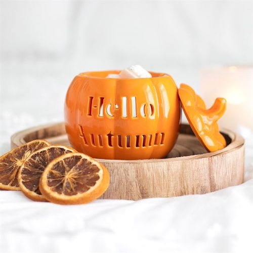 Hello Autumn Pumkin Oil Burner