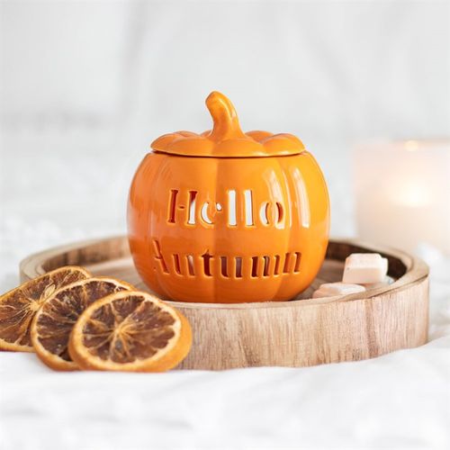 Hello Autumn Pumkin Oil Burner